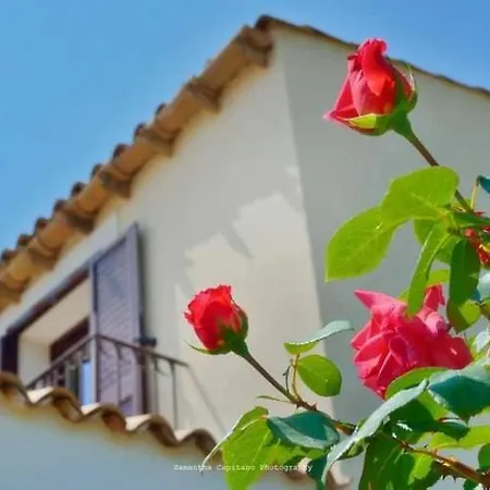 Le 3 Rose Appartement